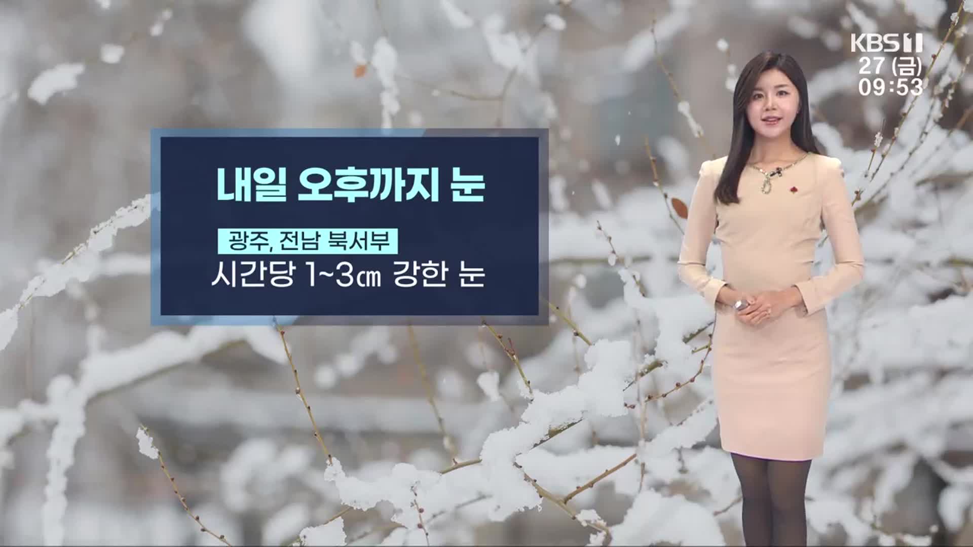 [날씨] 광주·전남 내일까지 최고 10cm 눈…기온 뚝↓, 추위까지 더해