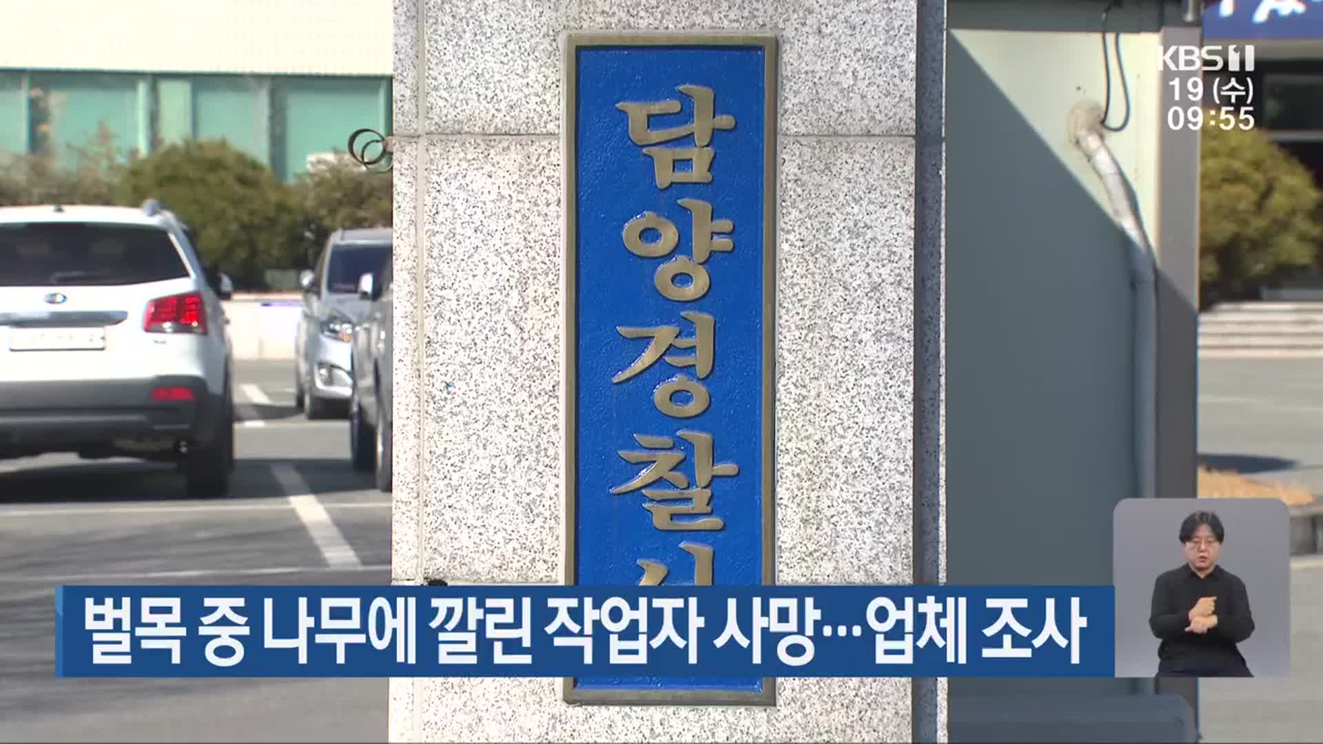 벌목 중 나무에 깔린 작업자 사망…업체 조사