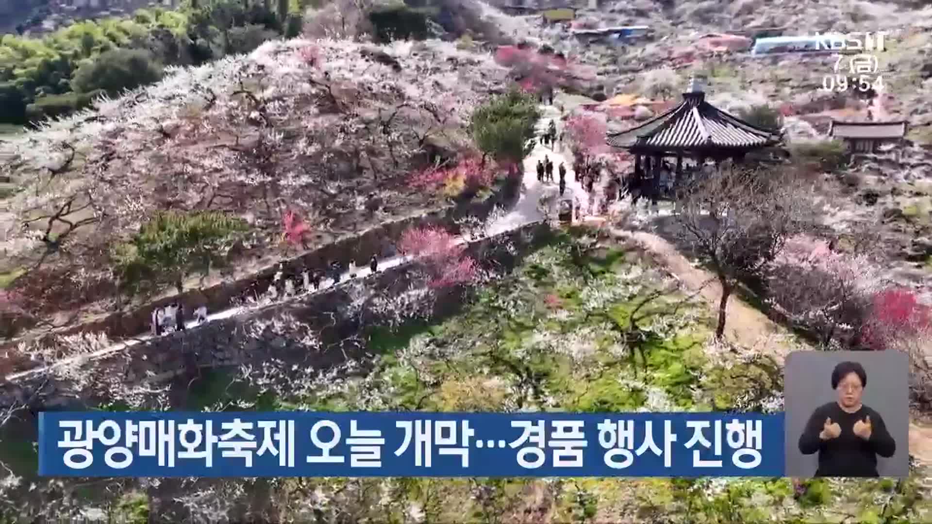 광양매화축제 오늘 개막…경품 행사 진행