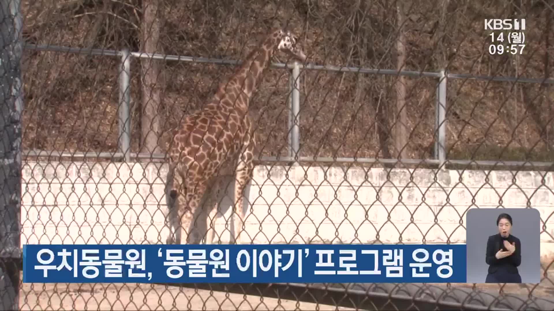 우치동물원, ‘동물원 이야기’ 프로그램 운영
