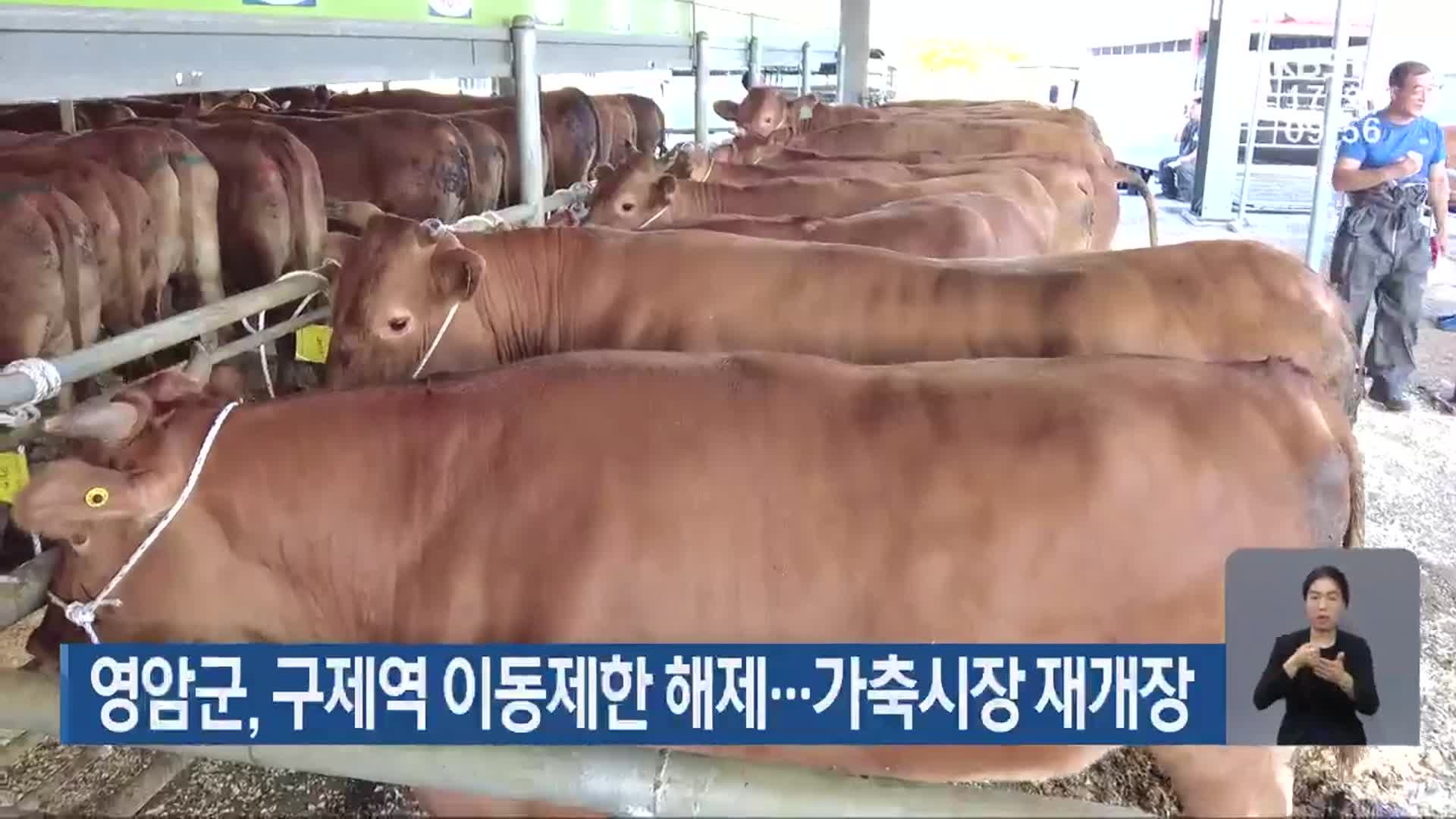 영암군, 구제역 이동제한 해제…가축시장 재개장