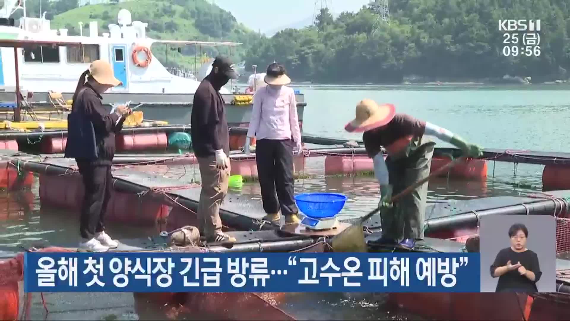 올해 첫 양식장 긴급 방류…“고수온 피해 예방”
