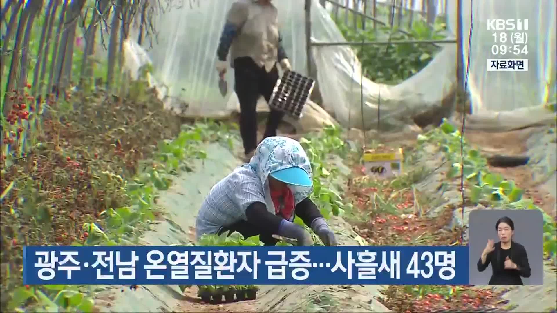 광주·전남 온열질환자 급증…사흘새 43명