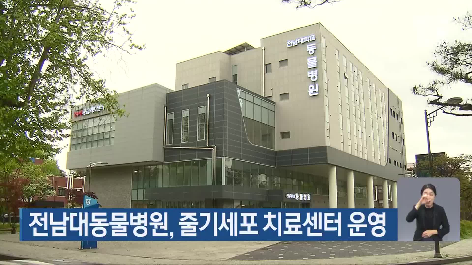 전남대동물병원, 줄기세포 치료센터 운영