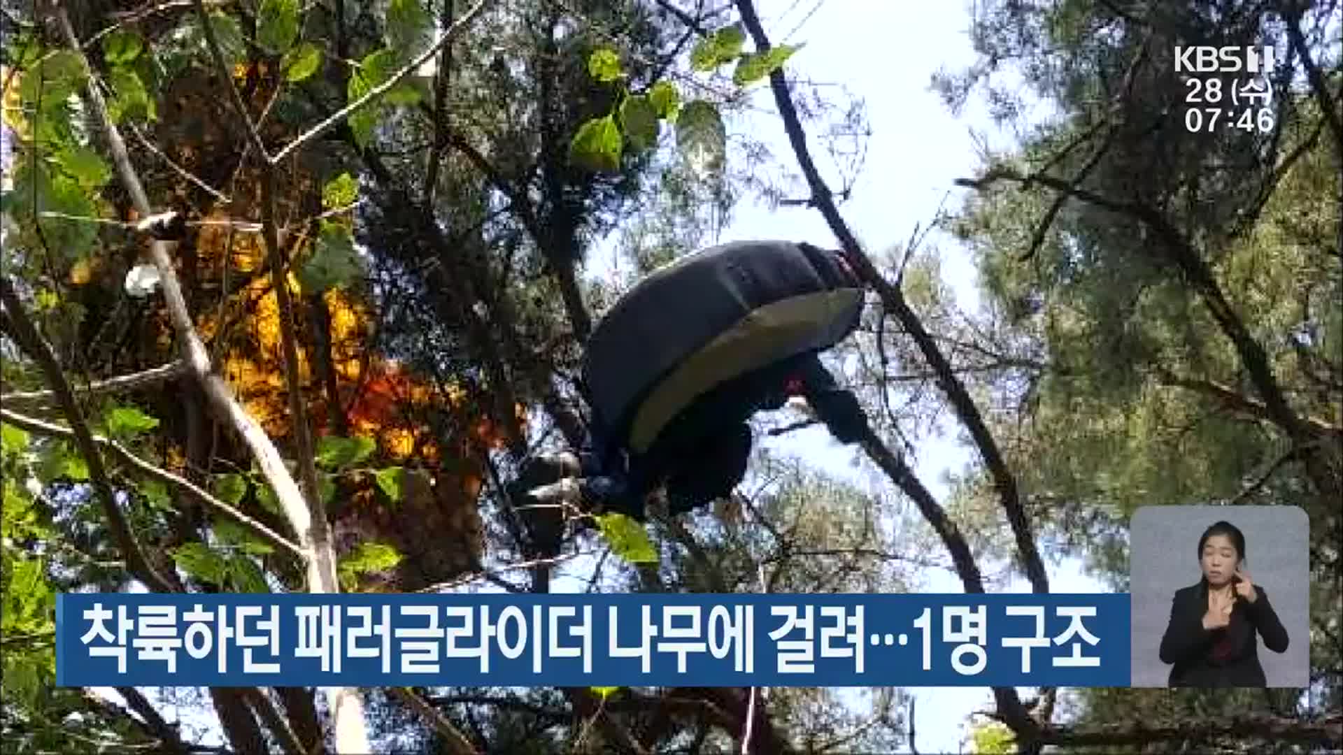 착륙하던 패러글라이더 나무에 걸려…1명 구조