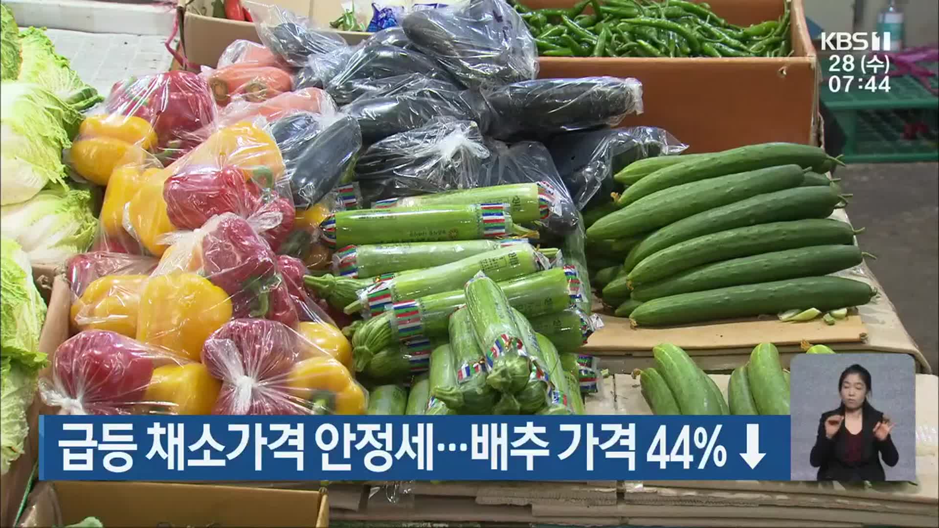 급등 채소가격 안정세…배추 가격 44% ↓