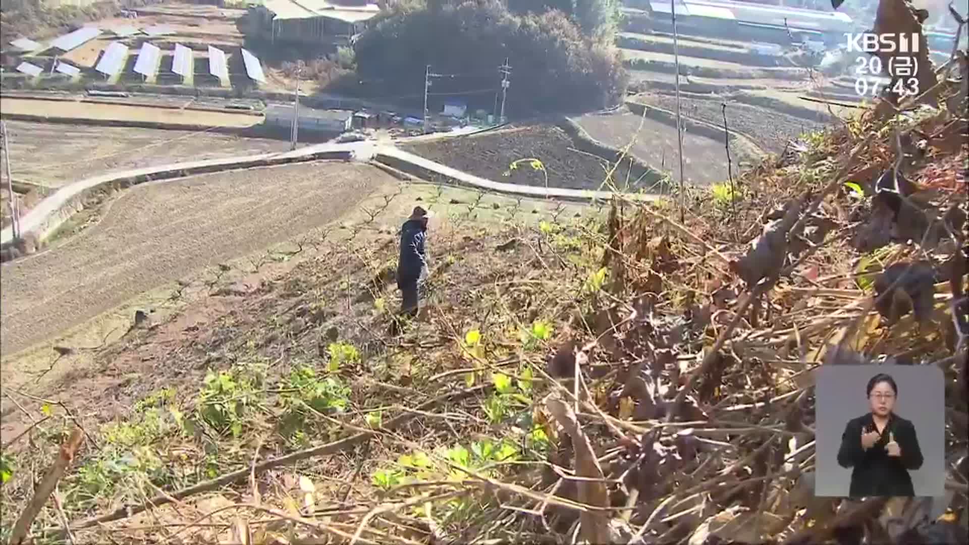 임업경영체 신청 가능한데…적극적 신청 필요