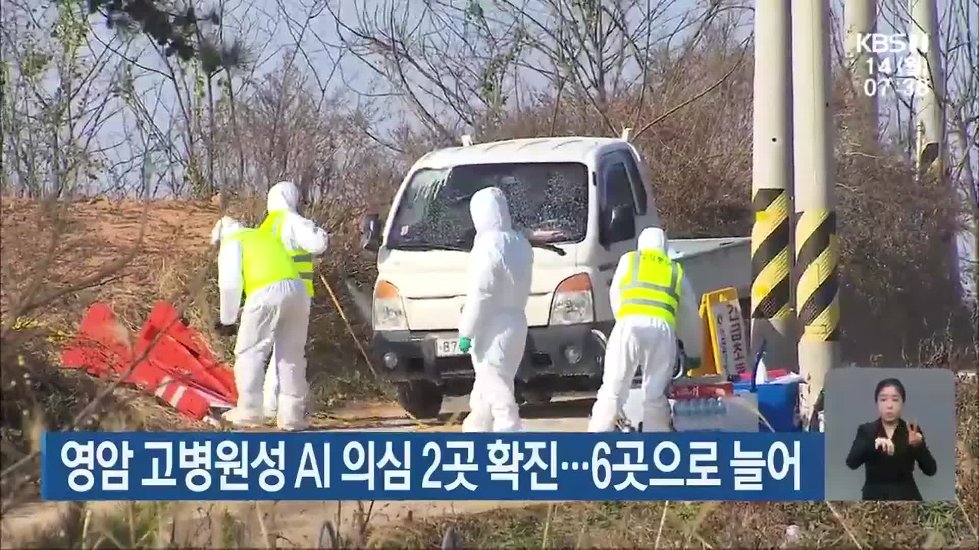 영암 고병원성 AI 의심 2곳 확진…6곳으로 늘어