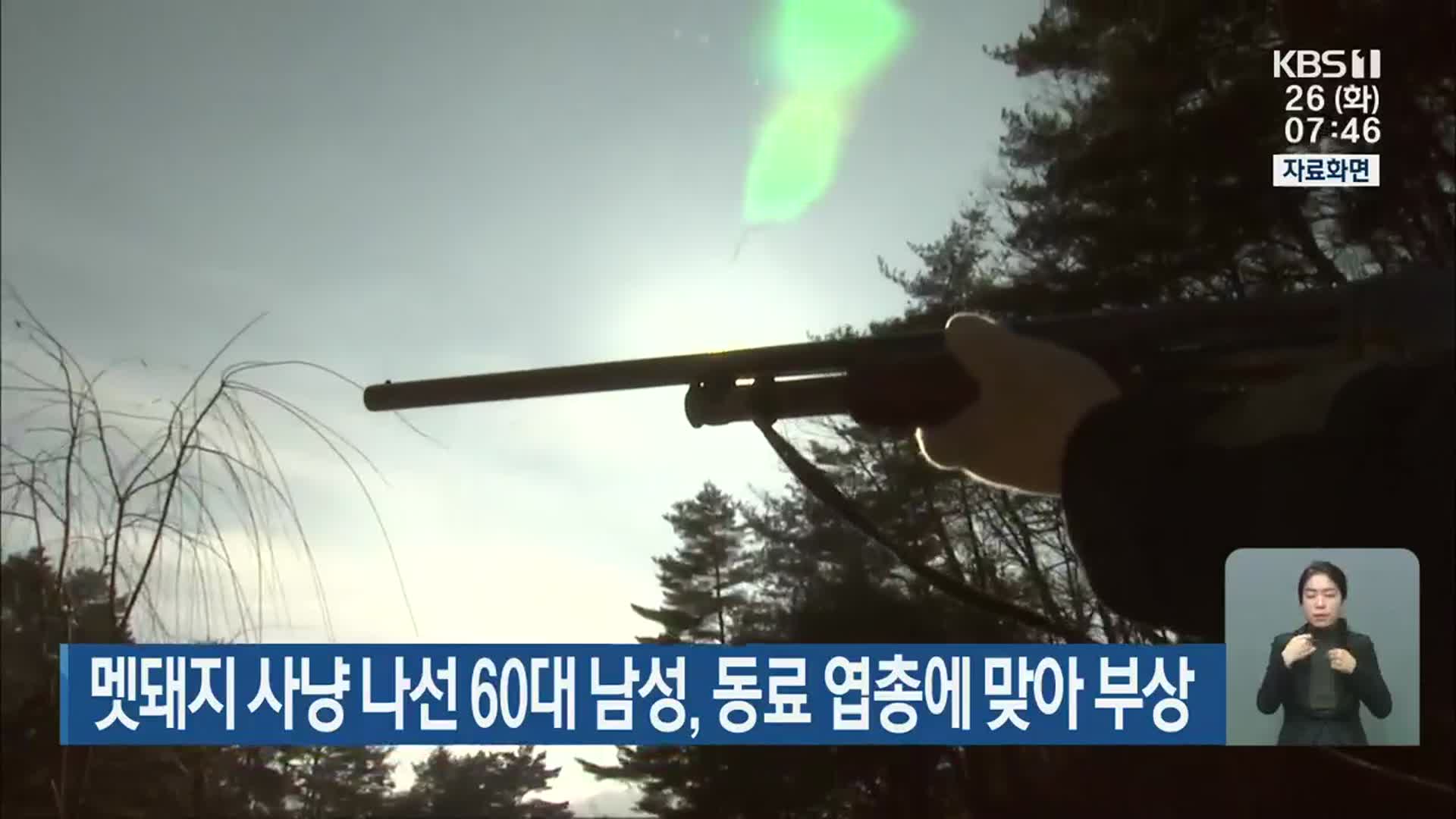멧돼지 사냥 나선 60대 남성, 동료 엽총에 맞아 부상