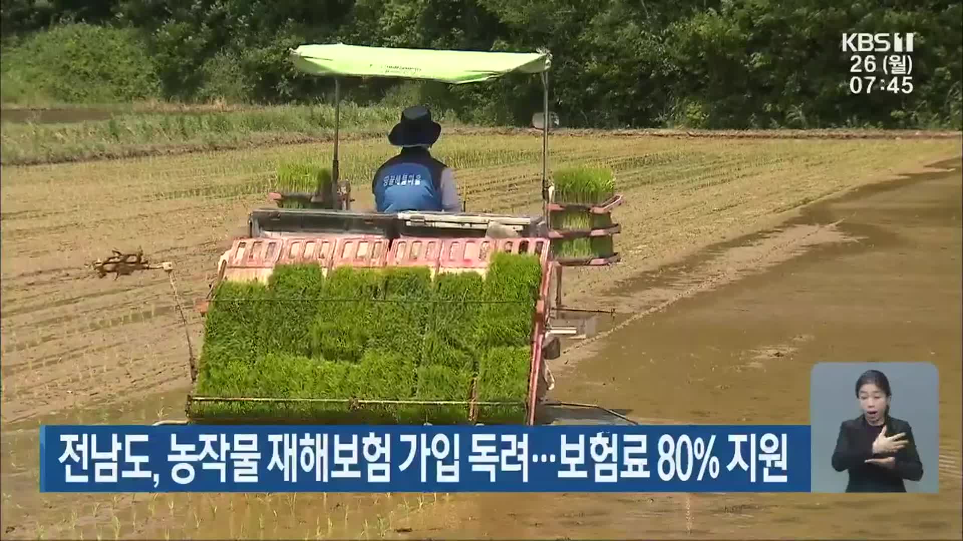 전남도, 농작물 재해보험 가입 독려…보험료 80% 지원