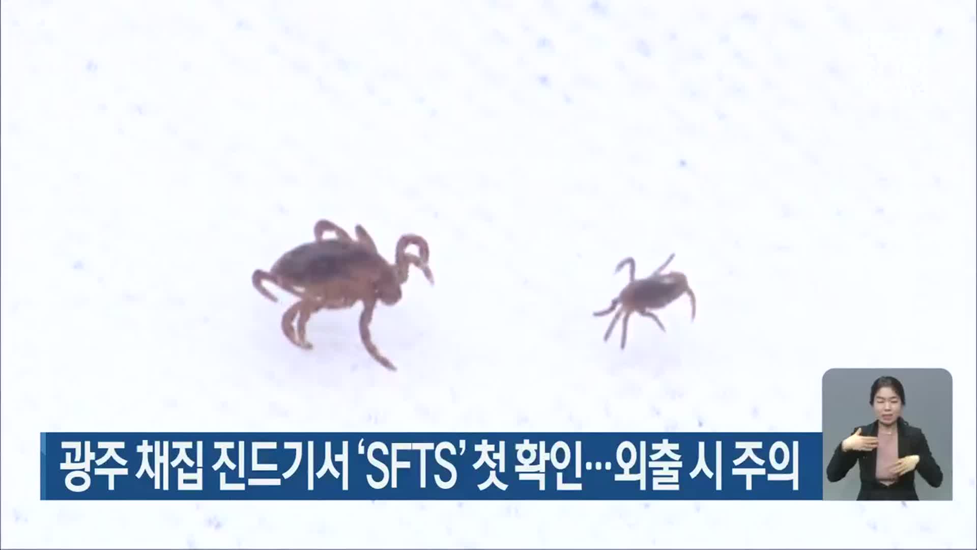 광주 채집 진드기서 ‘SFTS’ 첫 확인…외출 시 주의