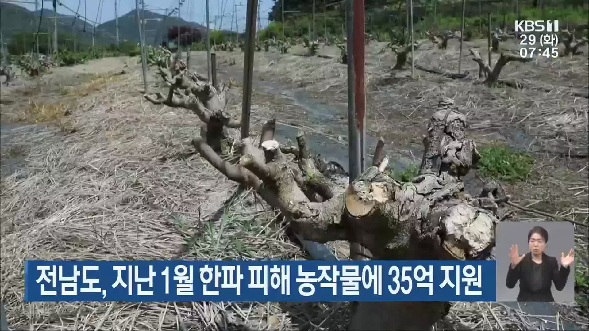 전남도, 지난 1월 한파 피해 농작물에 35억 지원