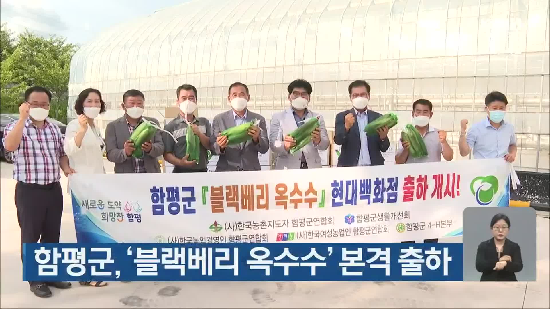 [단신브리핑] 함평군, ‘블랙베리 옥수수’ 본격 출하 외