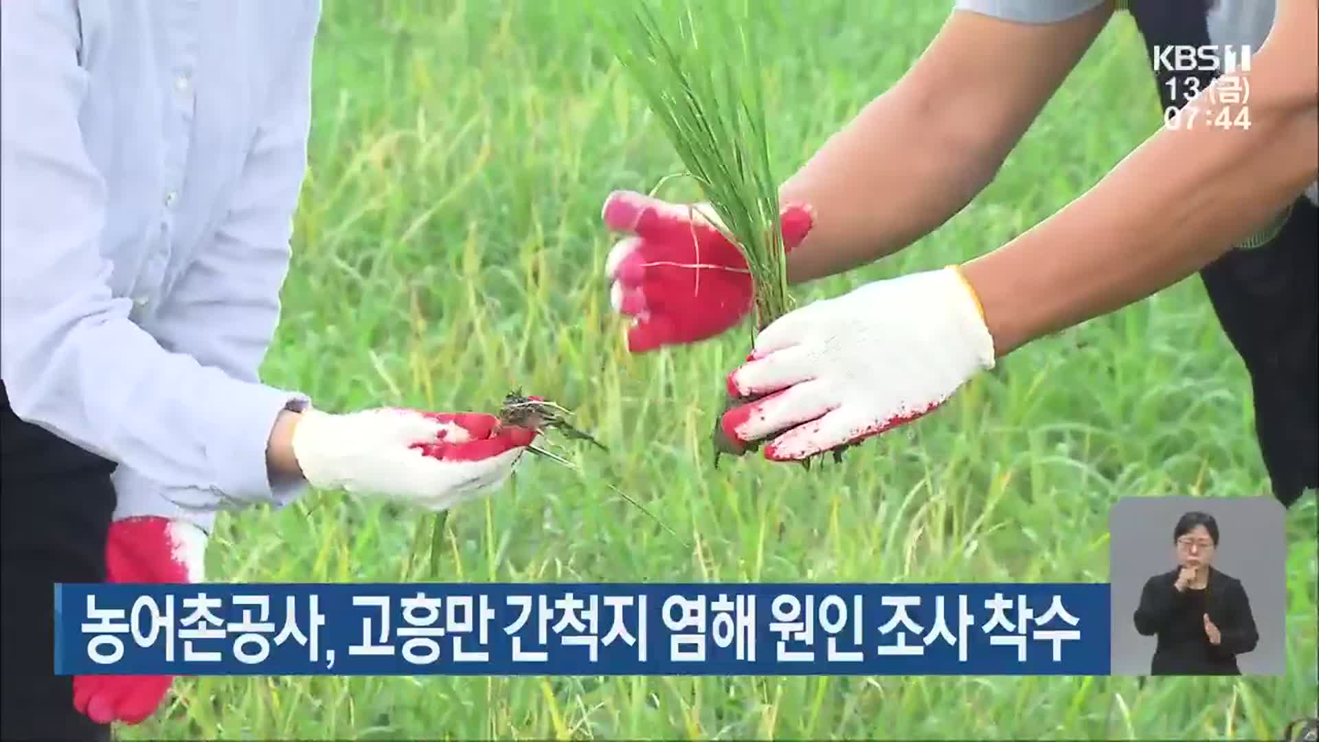 농어촌공사, 고흥만 간척지 염해 원인 조사 착수