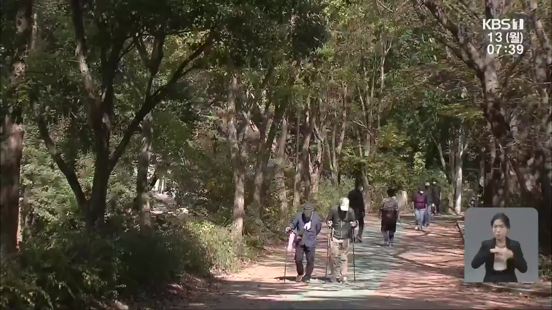 가을철 산행 주의…이것만은 꼭!