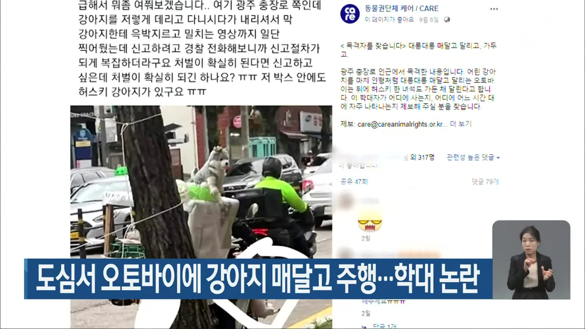 도심서 오토바이에 강아지 매달고 주행…학대 논란