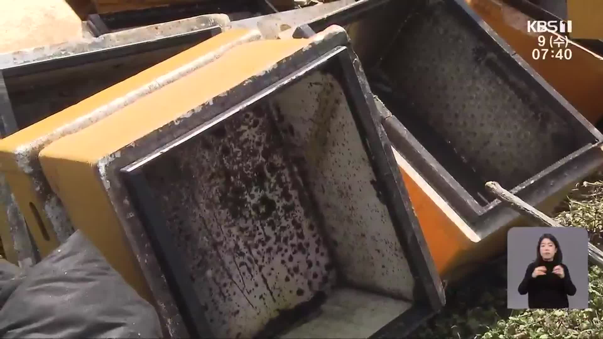 꿀벌 실종 전남 43%…벌통 10만 개 피해
