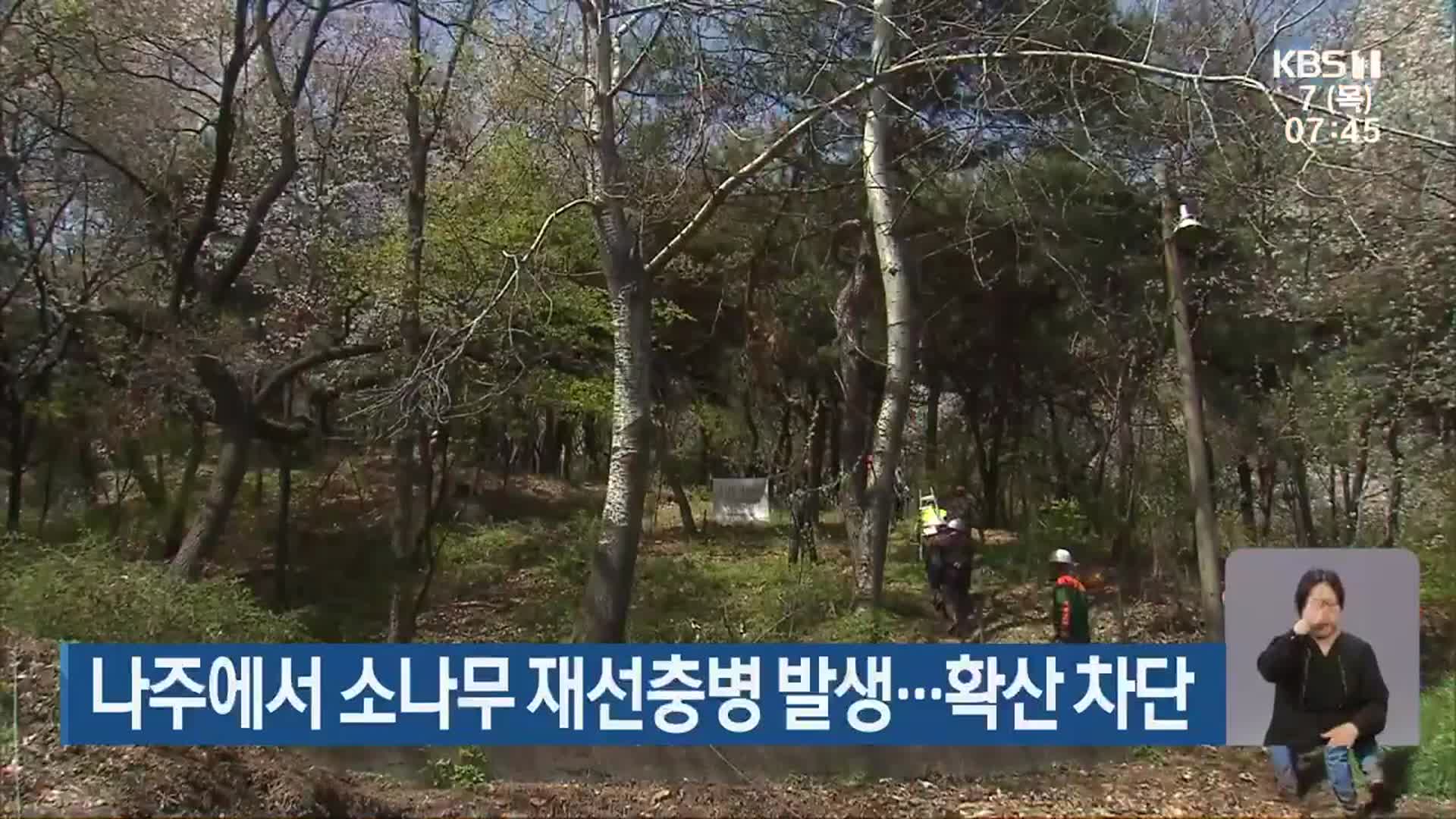 나주에서 소나무 재선충병 발생…확산 차단