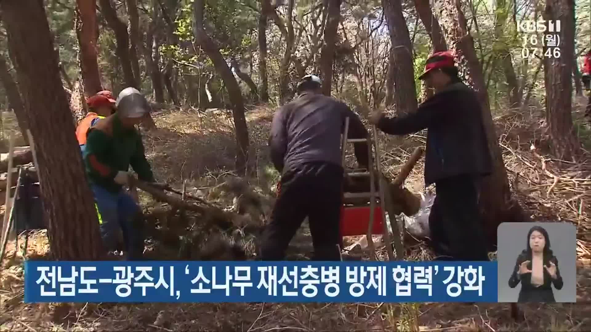 전남도-광주시, ‘소나무 재선충병 방제 협력’ 강화