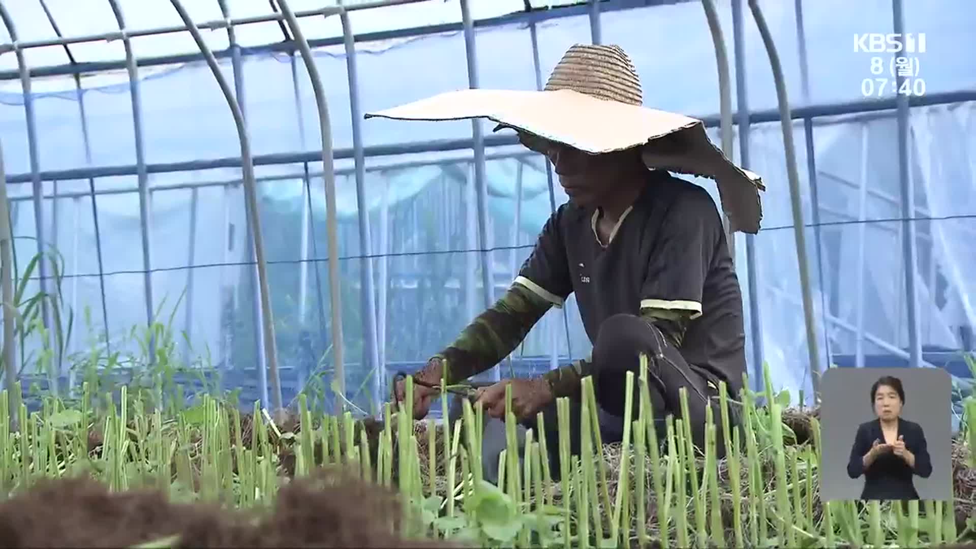 계속되는 폭염…농촌 온열 질환 비상