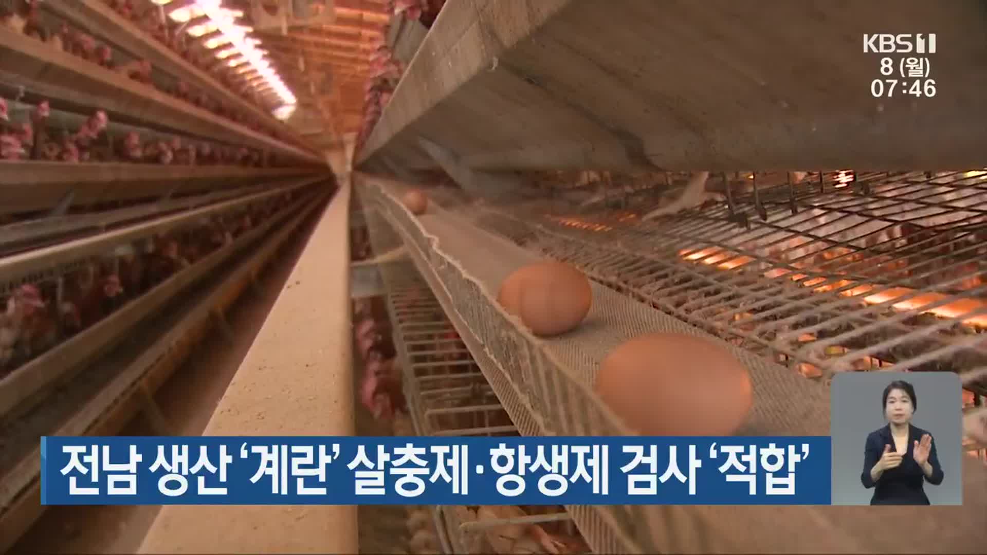 전남 생산 ‘계란’ 살충제·항생제 검사 ‘적합’