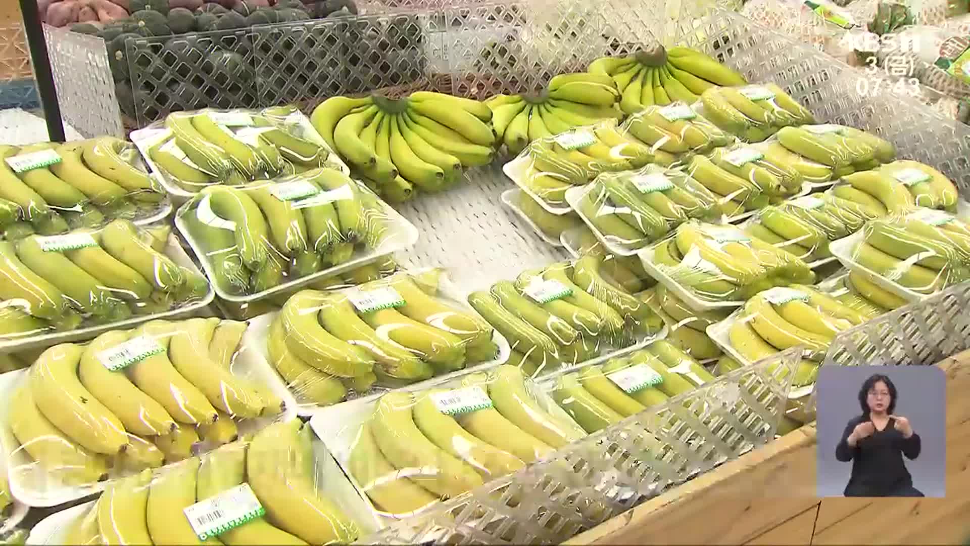 ‘완판 행진’ 광양 바나나…재배기간도 단축