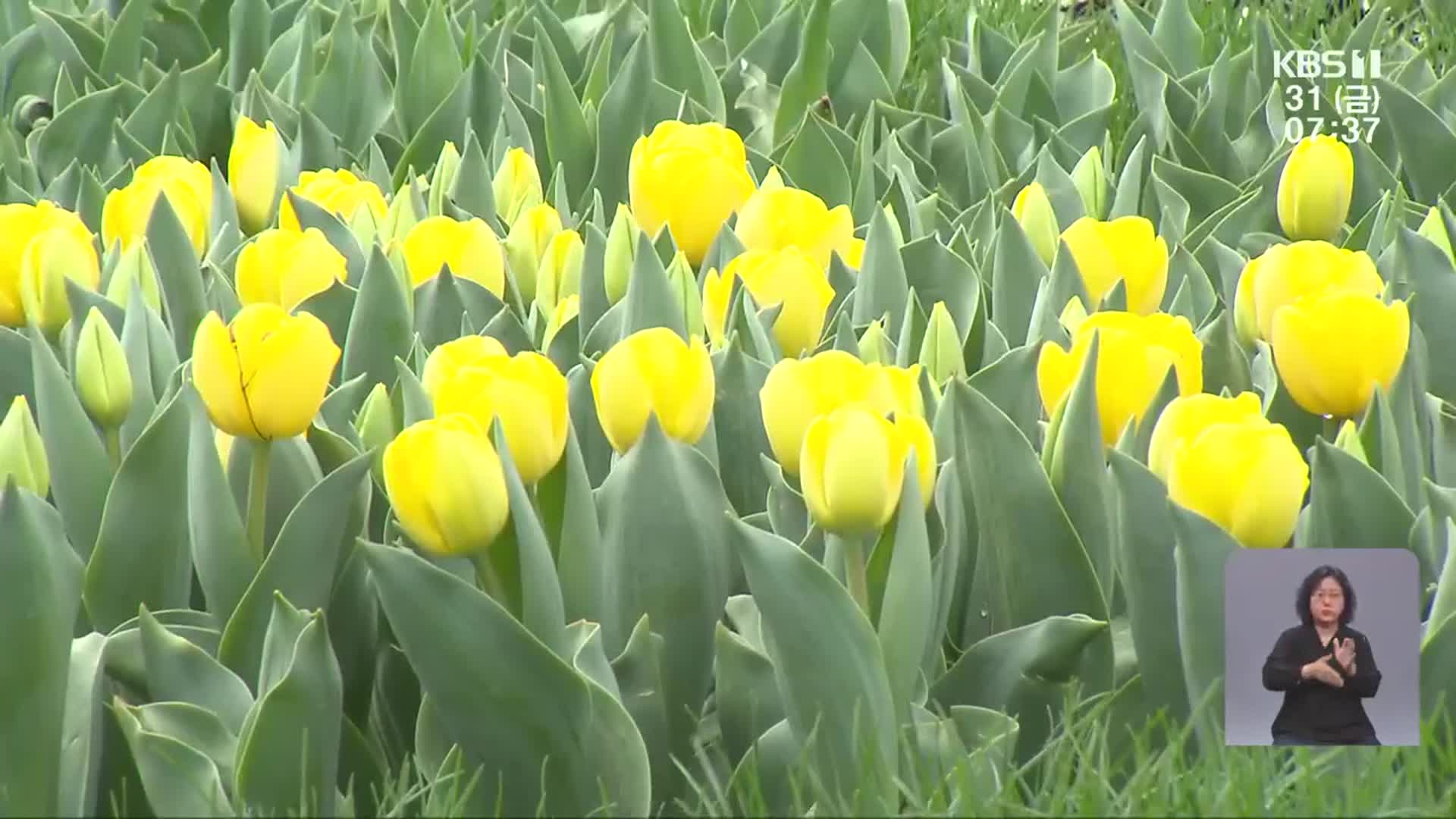 오늘 순천만정원박람회 개막…이 시각 순천