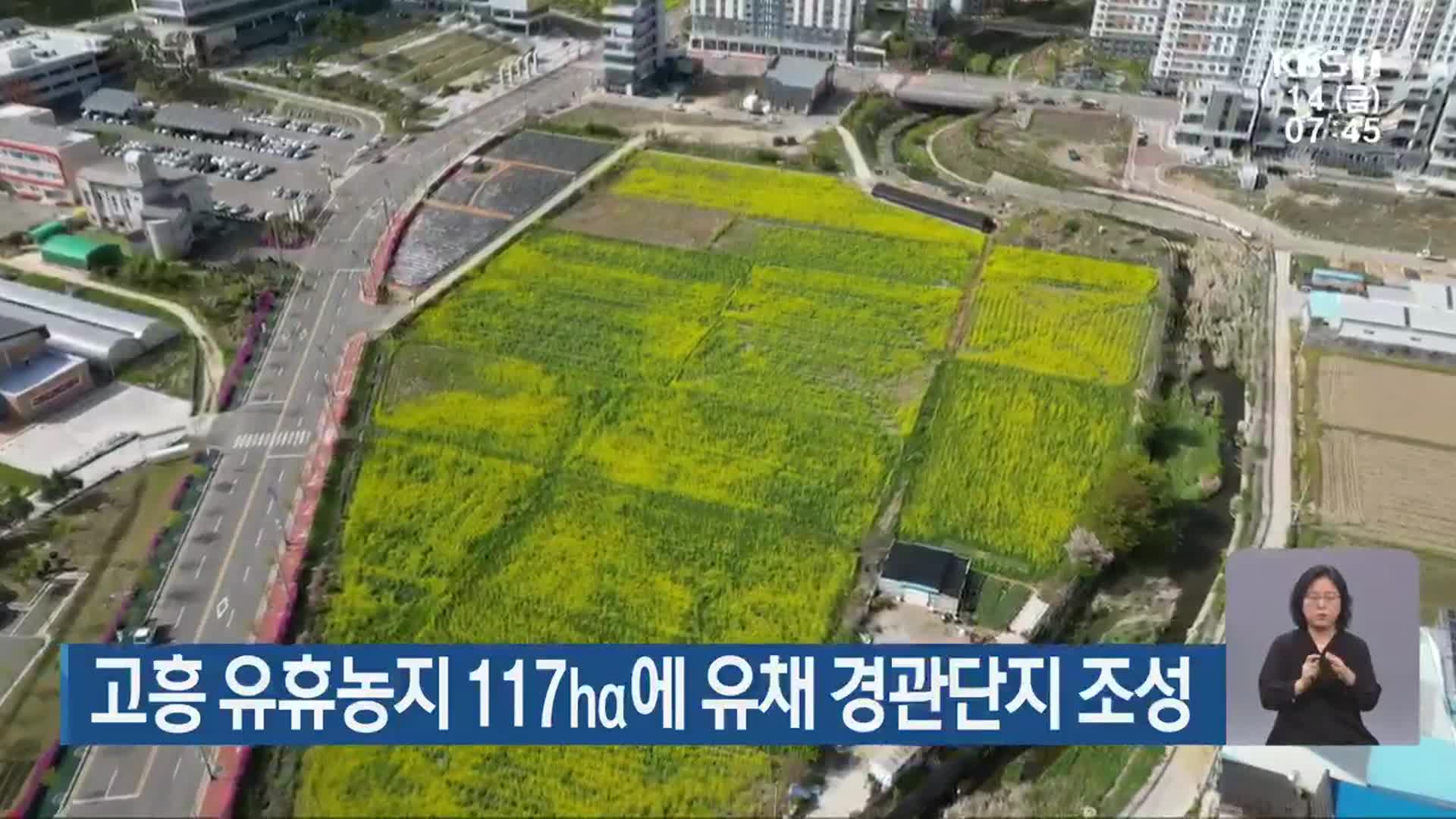 고흥 유휴농지 117㏊에 유채 경관단지 조성