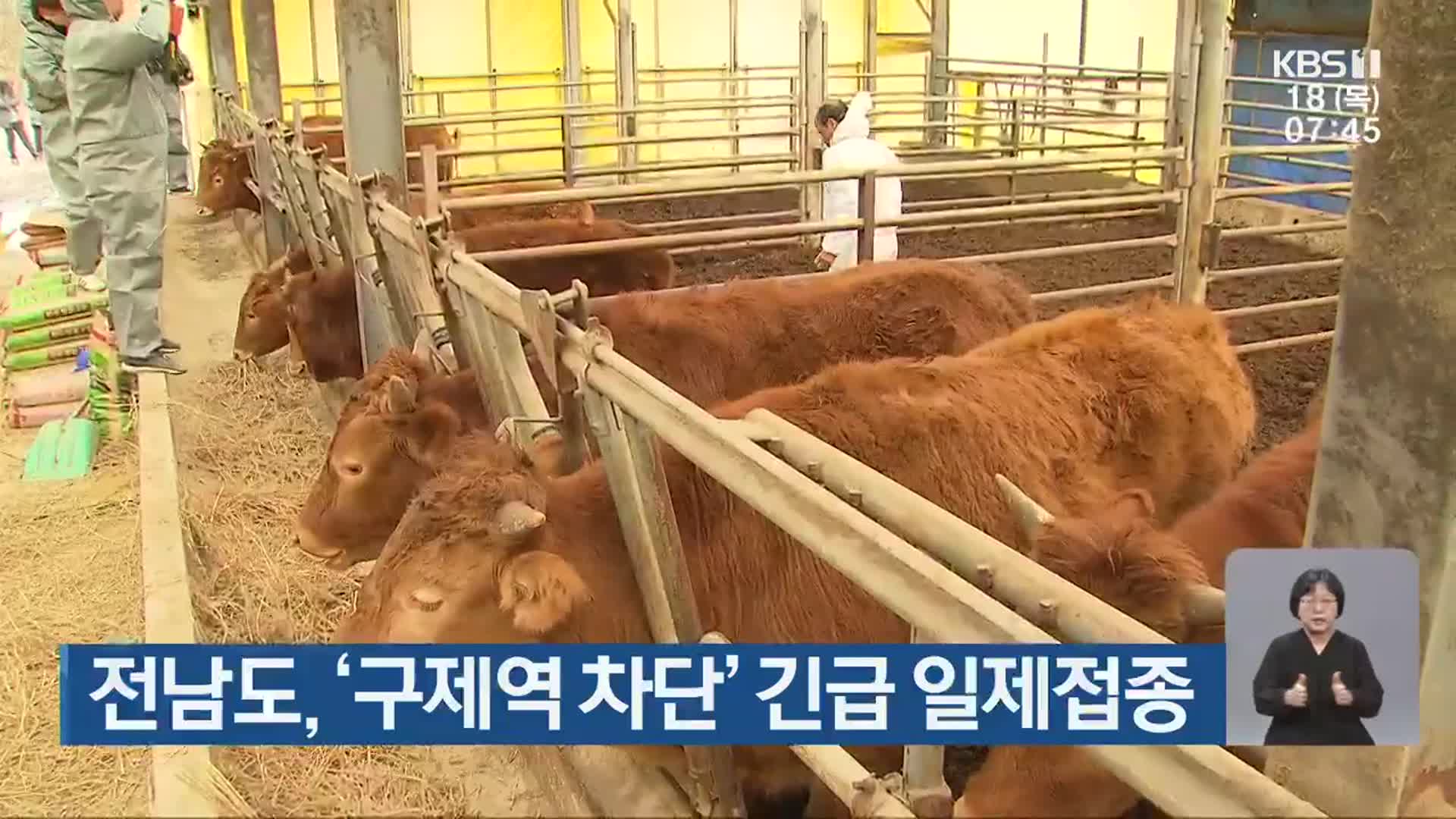 전남도, ‘구제역 차단’ 긴급 일제접종