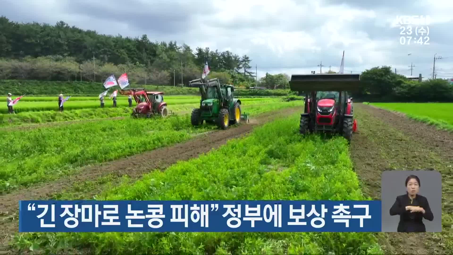 “긴 장마로 논콩 피해” 정부에 보상 촉구