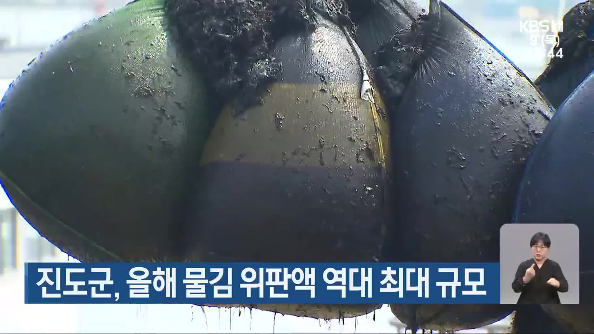 진도군, 올해 물김 위판액 역대 최대 규모