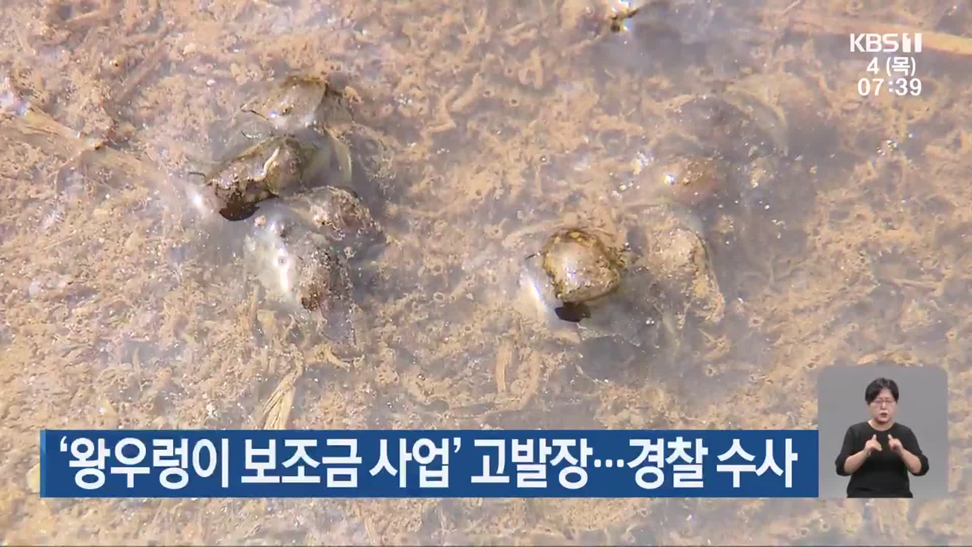 ‘왕우렁이 보조금 사업’ 고발장…경찰 수사