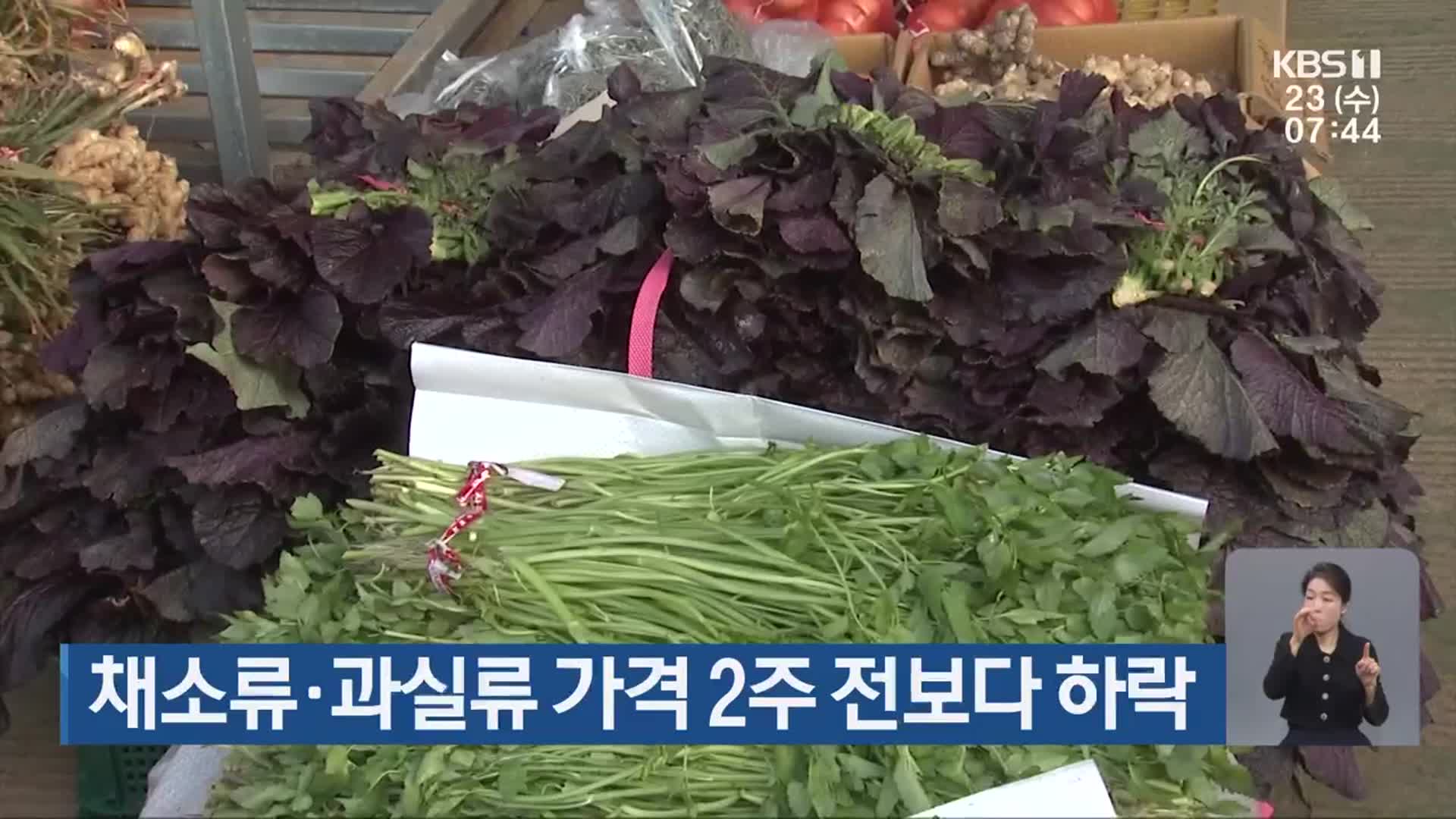 채소류·과실류 가격 2주 전보다 하락