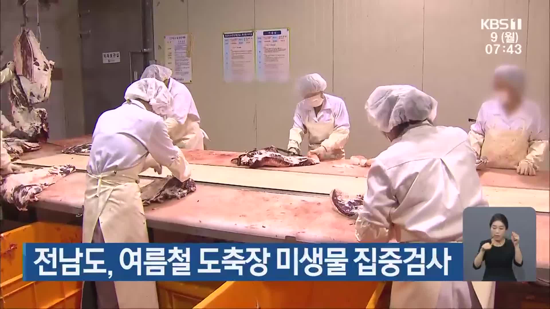 전남도, 여름철 도축장 미생물 집중검사
