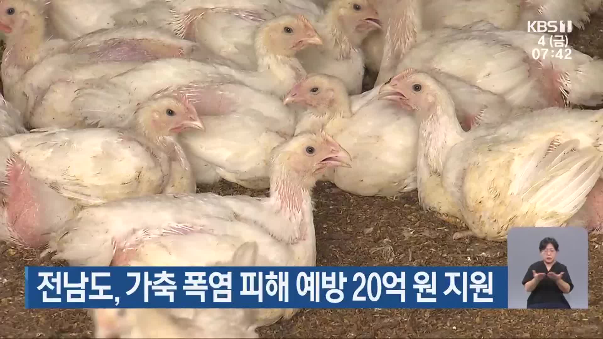 전남도, 가축 폭염 피해 예방 20억 원 지원
