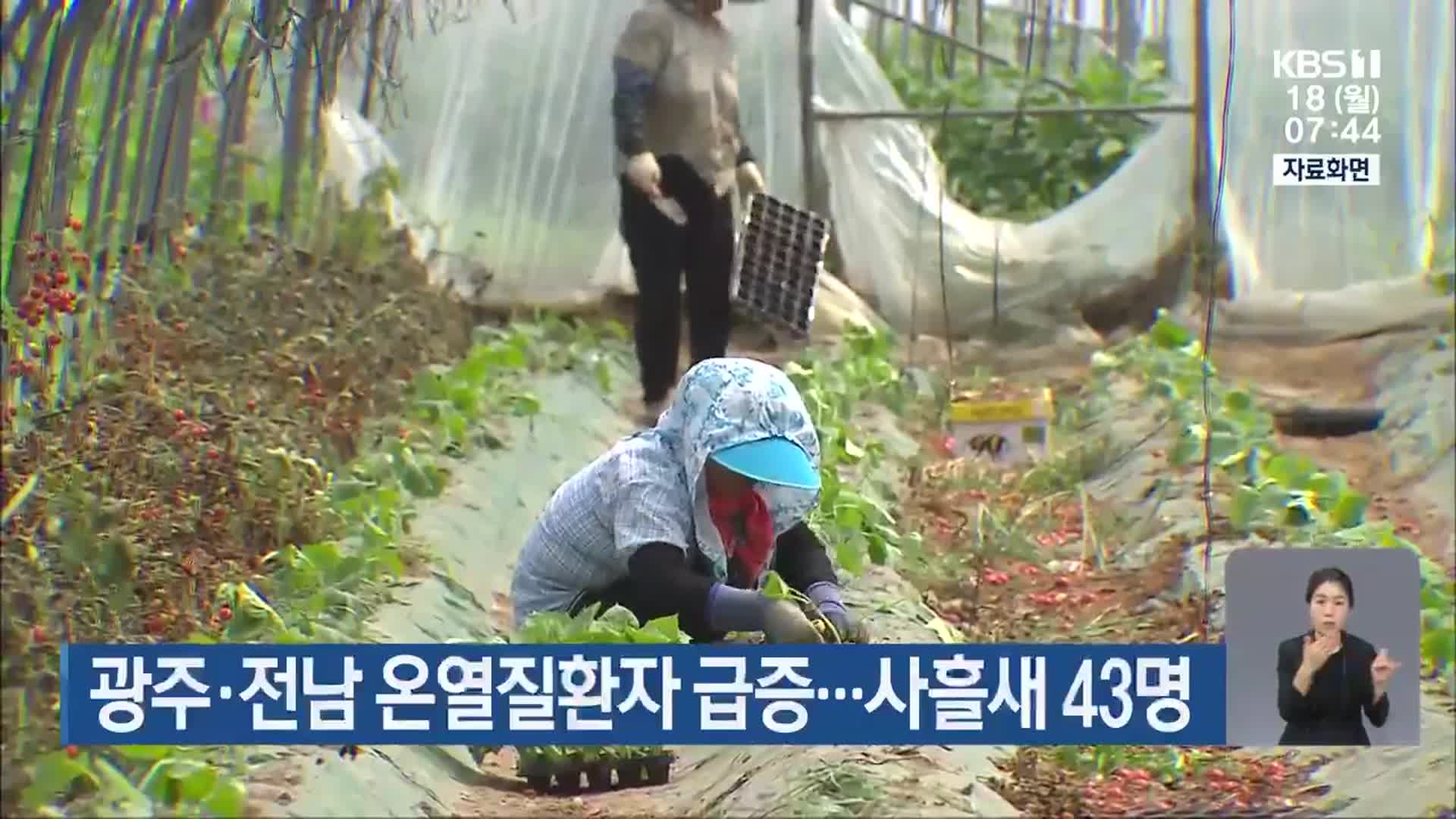광주·전남 온열질환자 급증…사흘새 43명