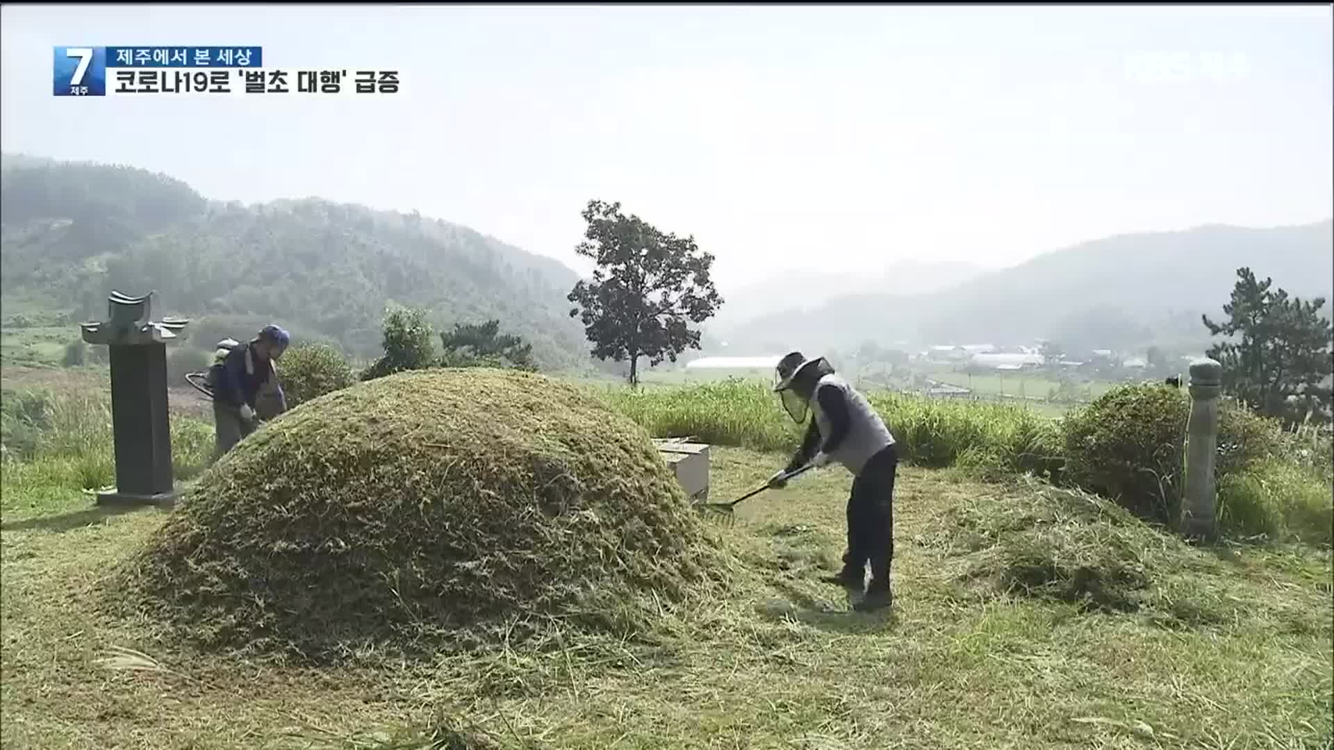 ‘비대면 추석’ 벌초 대행도 급증