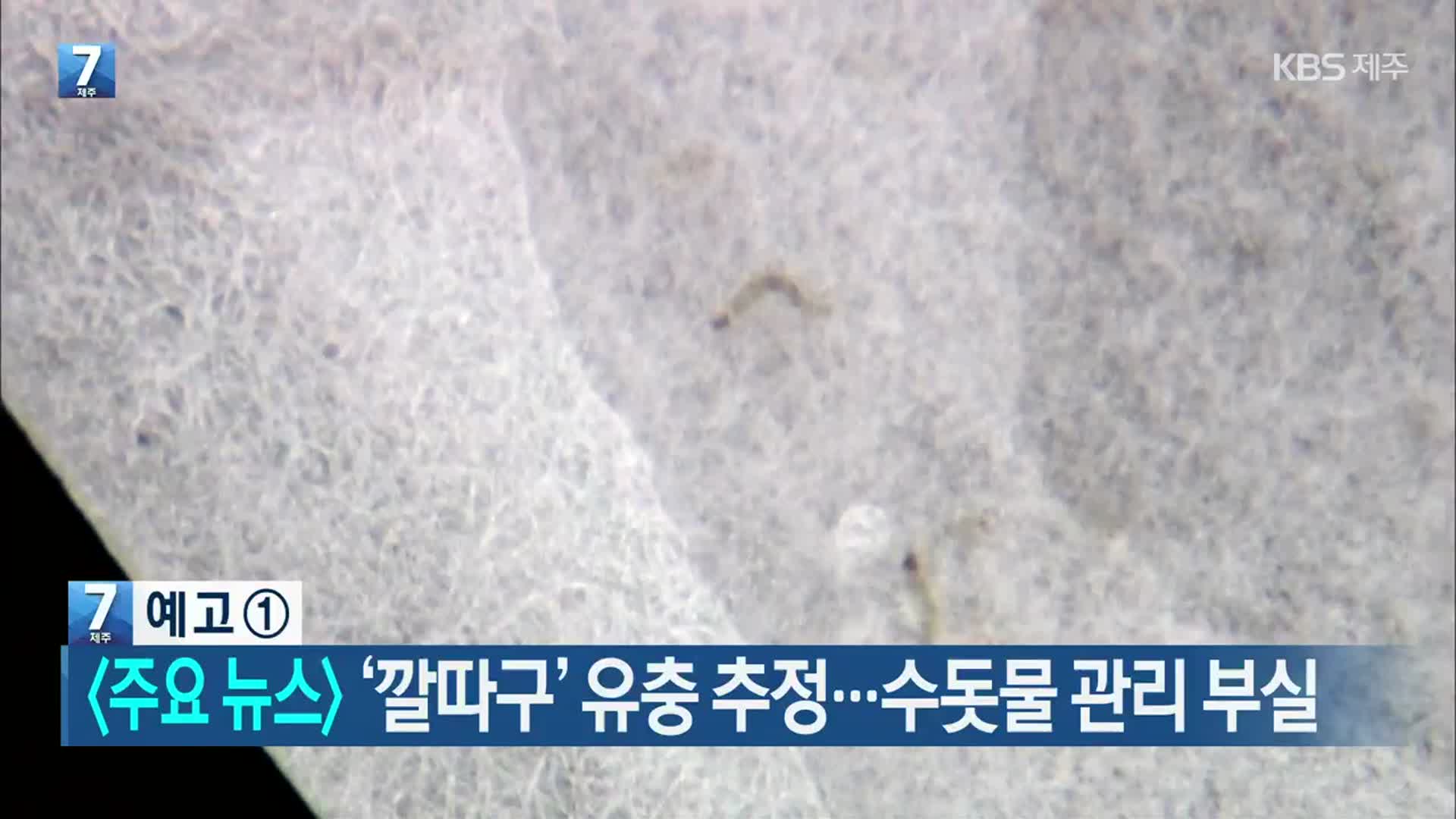 [뉴스7 제주 헤드라인]