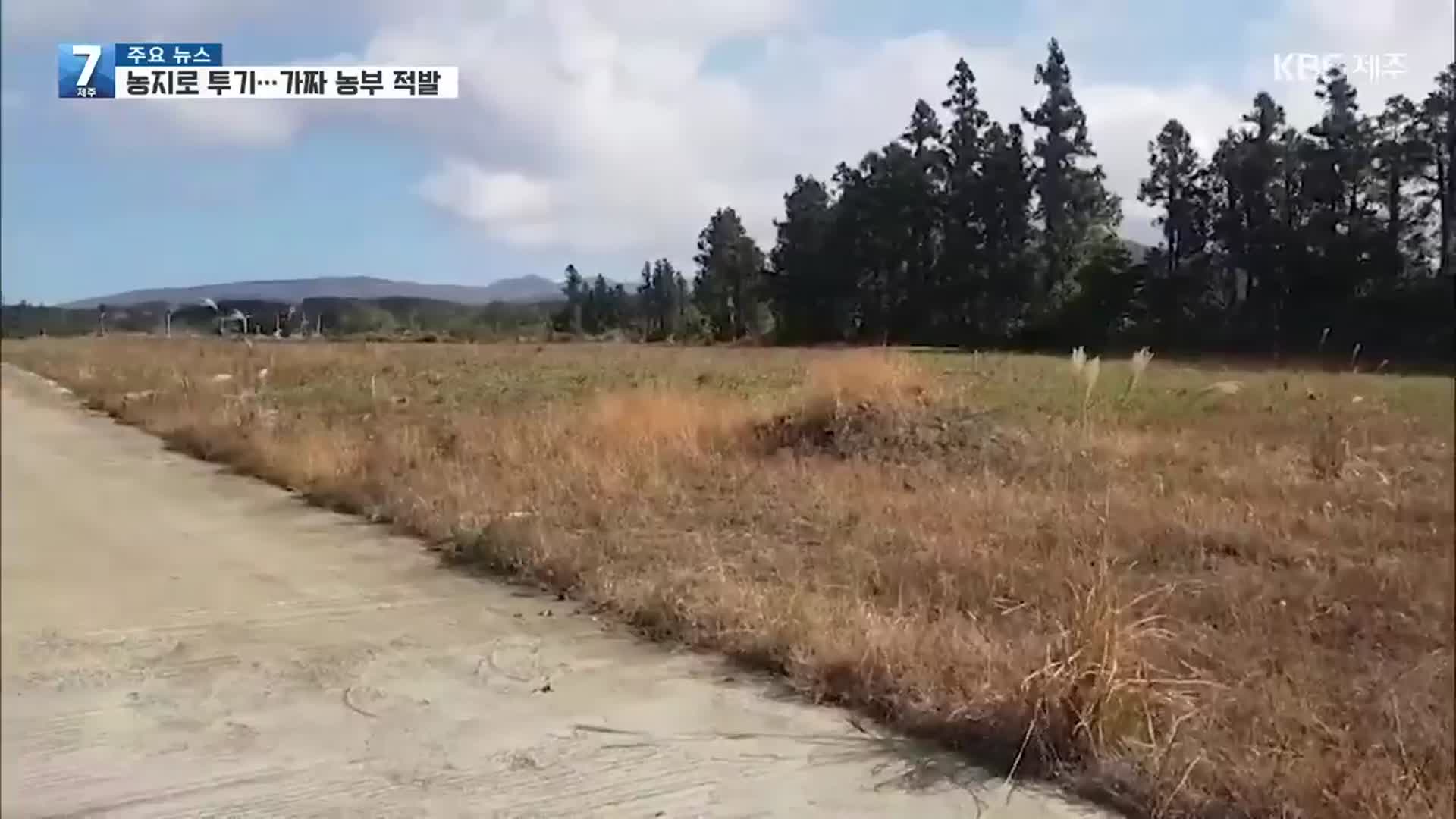 농지로 부동산 투기…가짜 농부 무더기 적발