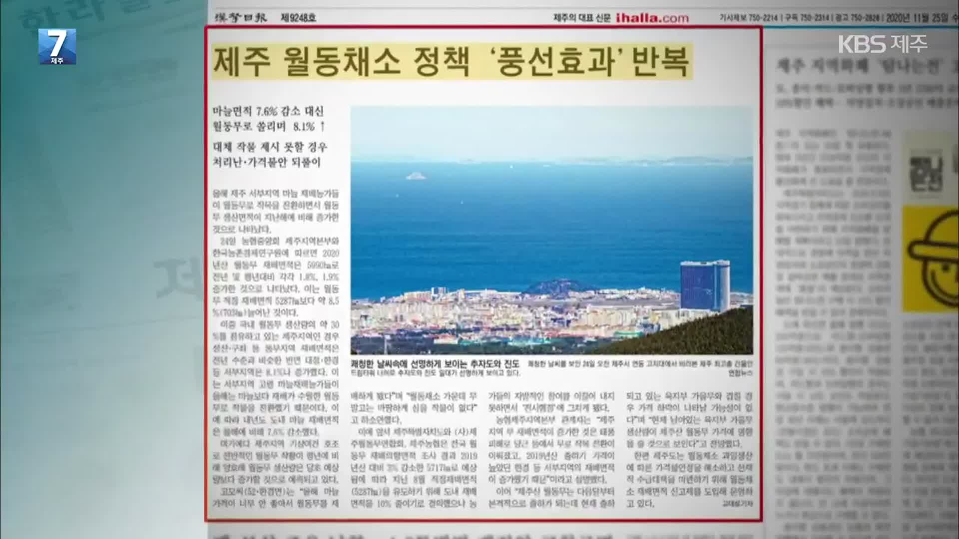 [뉴스브리핑] “제주 월동채소 정책 풍선효과 반복” 외