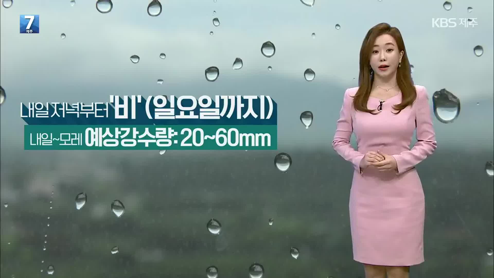 [날씨] 제주 내일 저녁부터 20~60mm ‘비’