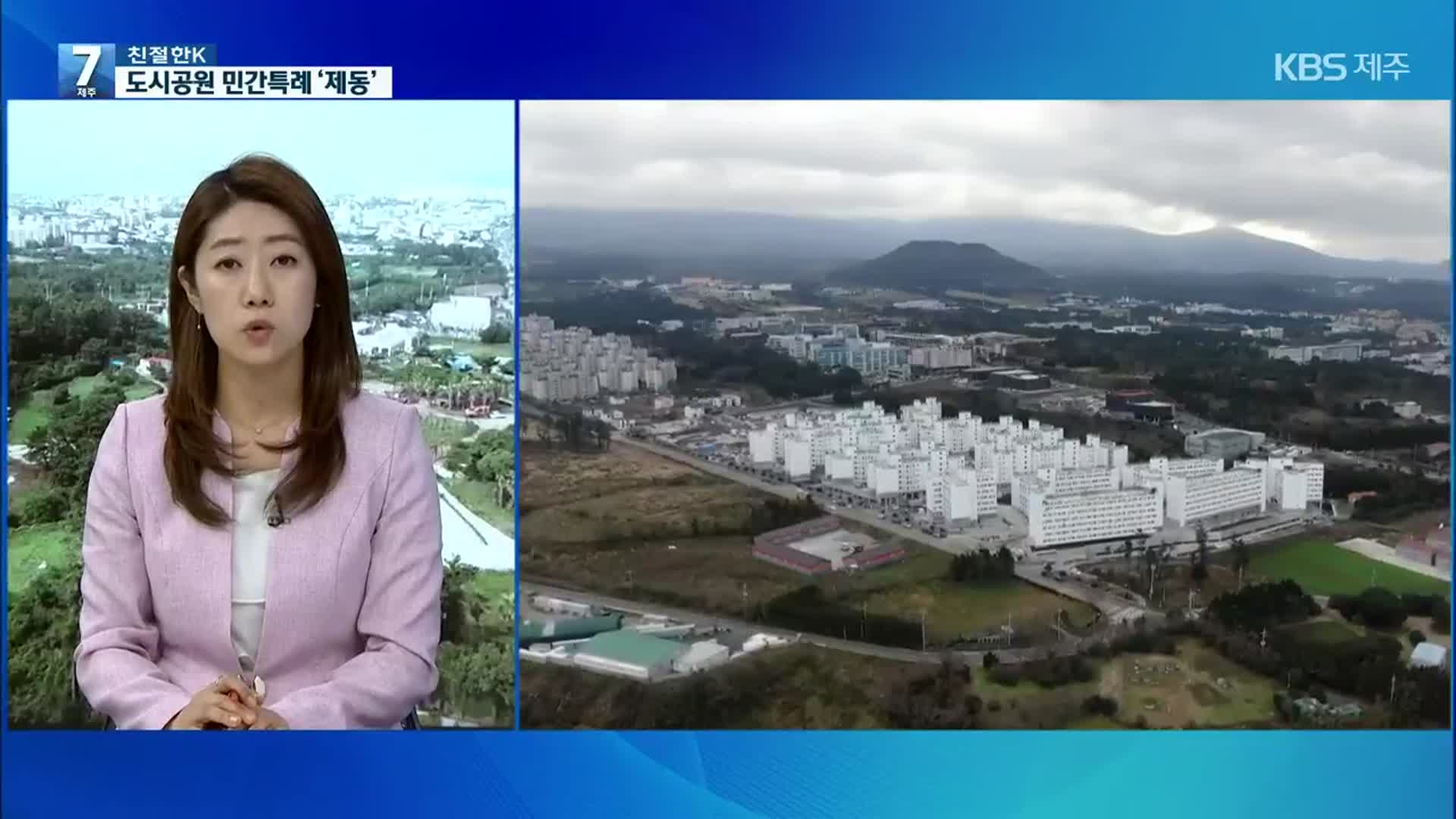 [친절한K] 도시공원 민간특례 ‘보류’…위성센터 ‘통과’