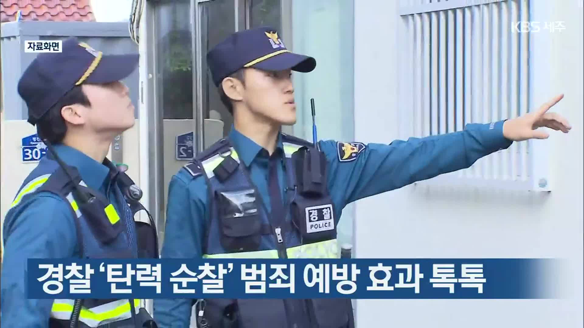 경찰 ‘탄력 순찰’ 범죄 예방 효과 톡톡