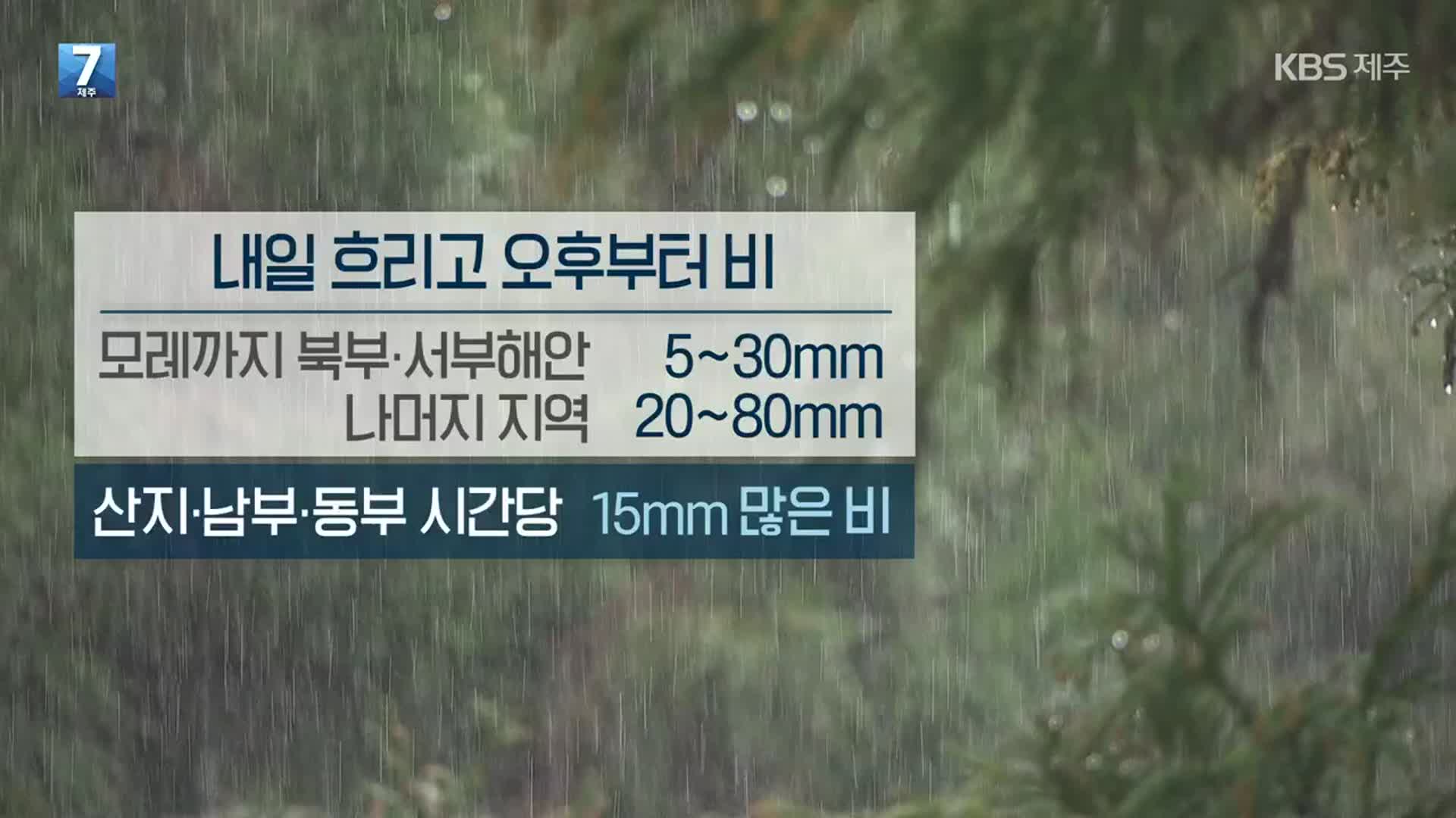 [날씨] 제주 내일 흐리고 오후부터 비…최대 80mm