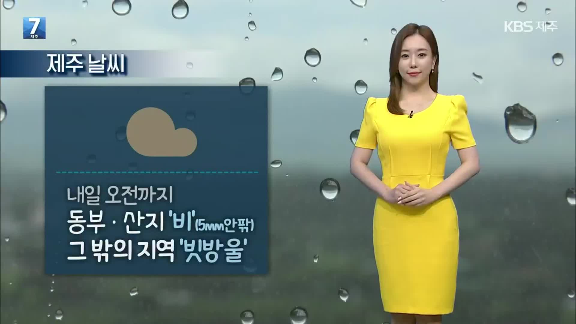 [날씨] 제주 내일 오전까지 곳곳 빗방울…동부·산지 5mm 비