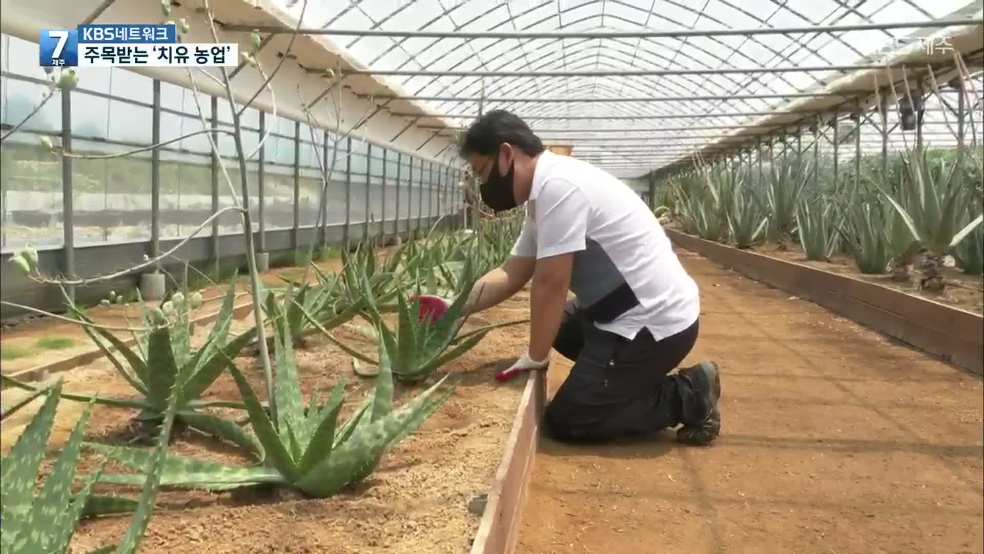 [KBS네트워크] 새로운 농업 활로 ‘치유농업’