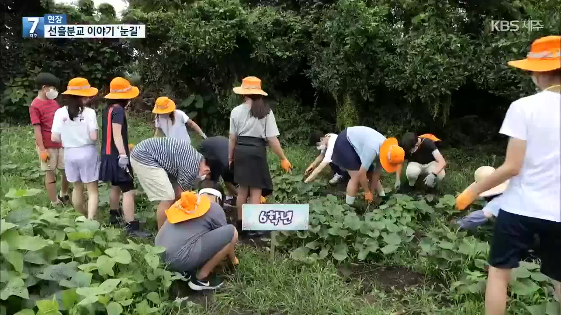 [7시 현장] 자연을 벗 삼아…선흘분교 ‘이야기’