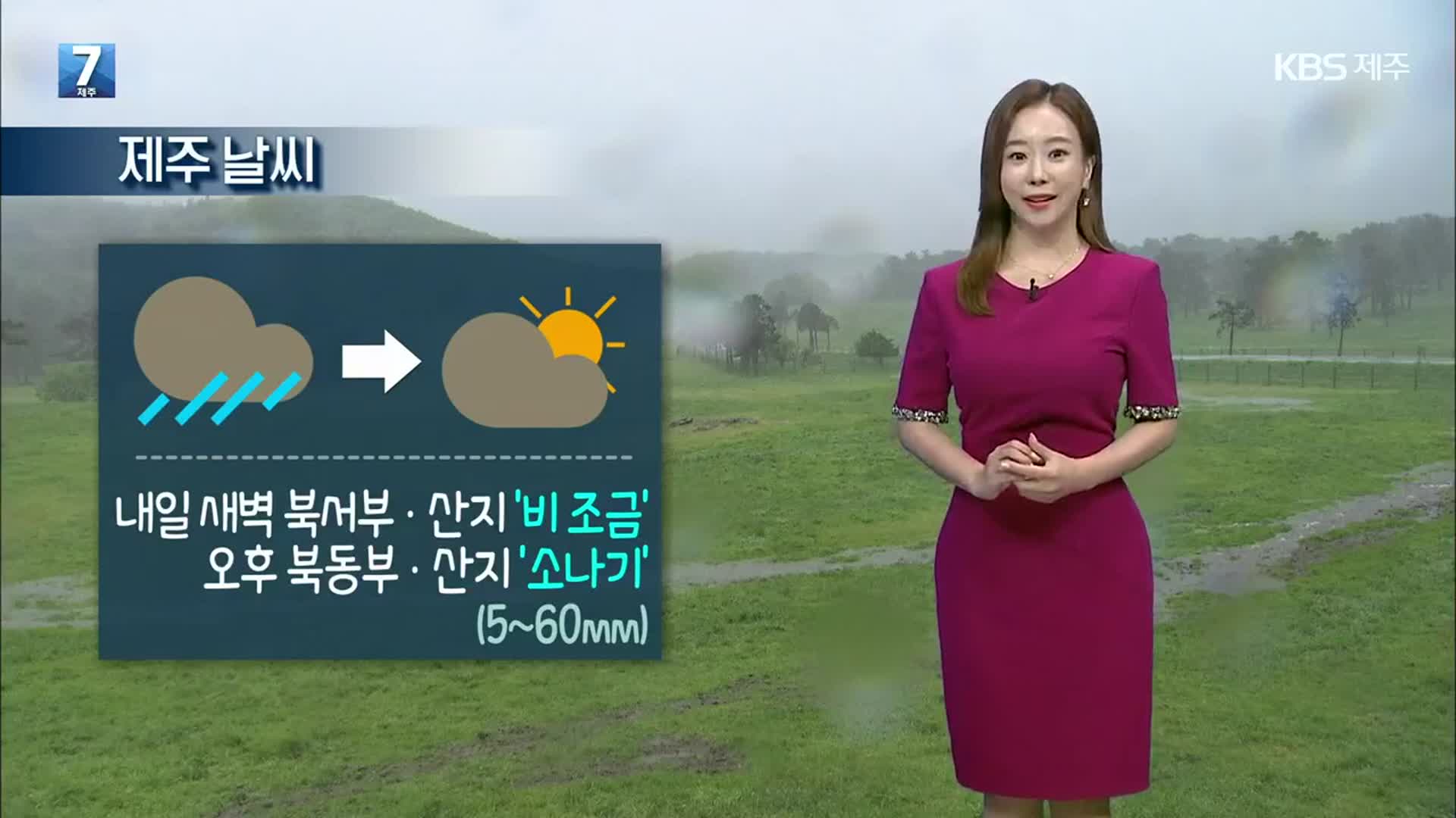 [날씨] 제주 내일 때때로 비…열대야·폭염 계속
