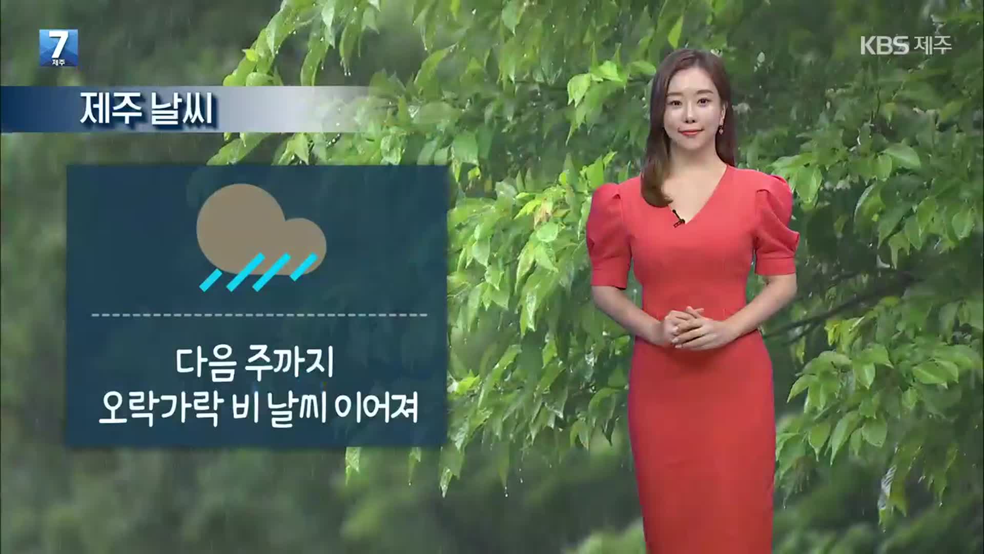 [날씨] 제주 다음 주까지 오락가락 비…내일 새벽 산지 ‘강한 비’