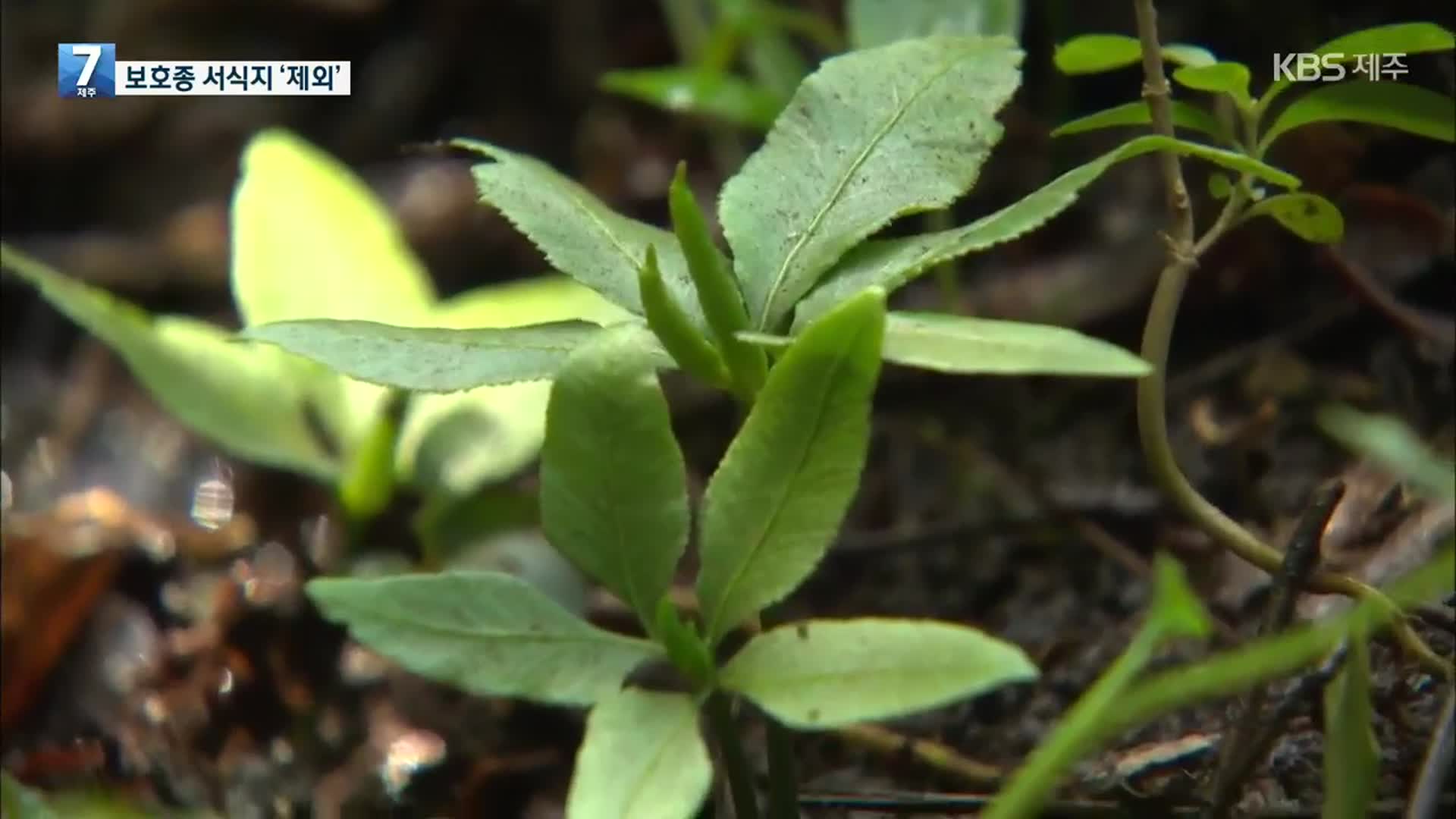 주민 반발에 실태조사 용역도 문제?